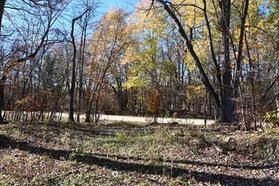 39906 Pine Island Pt Drive, Browerville, MN 56438 - Photo 13