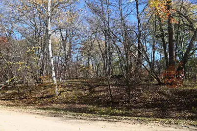 39906 Pine Island Pt Drive, Browerville, MN 56438 - Photo 3