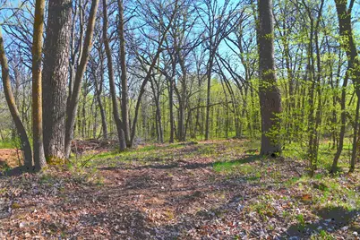 39906 Pine Island Pt Drive, Browerville, MN 56438 - Photo 23