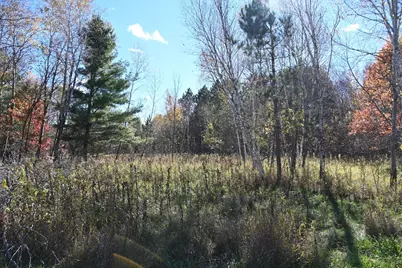 27727 Oberon Loop, Browerville, MN 56438 - Photo 9