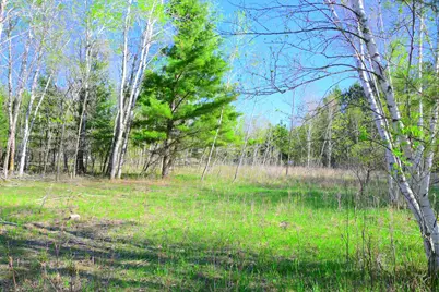 27727 Oberon Loop, Browerville, MN 56438 - Photo 31