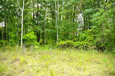 39902 Oriole Court, Browerville, MN 56438 - Photo 11
