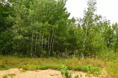 39902 Oriole Court, Browerville, MN 56438 - Photo 9