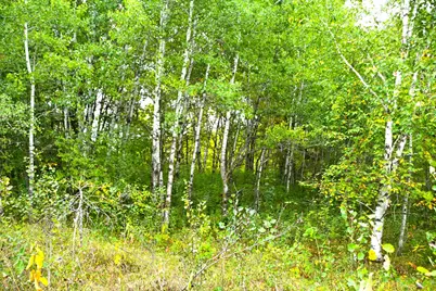 39904 Oriole Court, Browerville, MN 56438 - Photo 11