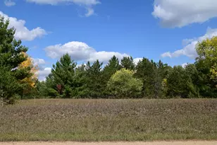 Tbd Oak Dr, Browerville, MN 56438 - Photo 1