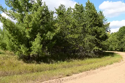 Tbd Oak Drive, Browerville, MN 56438 - Photo 13