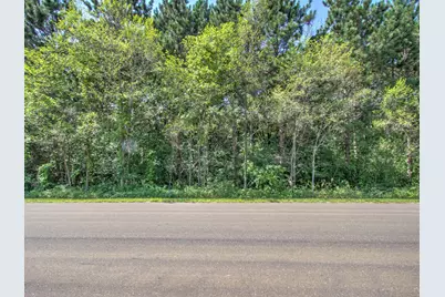Tbd Sodium Street NW, Ramsey, MN 55303 - Photo 3
