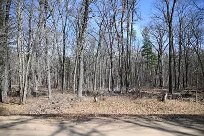 38970 Odin Court, Browerville, MN 56438 - Photo 17