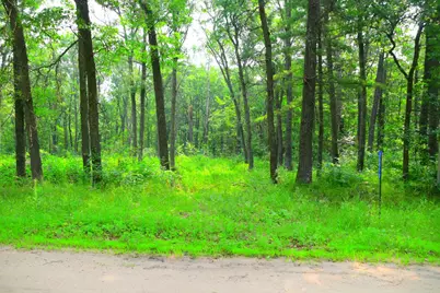 38970 Odin Court, Browerville, MN 56438 - Photo 1