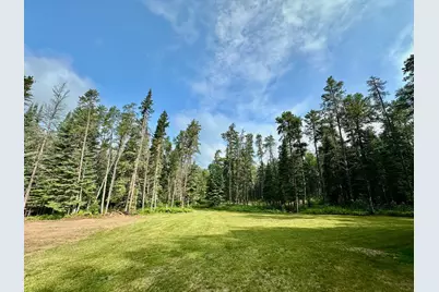 21761 Bemis Hill Forest Road, Salol, MN 56756 - Photo 9