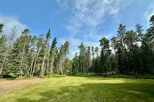 21761 Bemis Hill Forest Rd, Salol, MN 56756 - Photo 9
