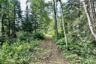 21761 Bemis Hill Forest Rd, Salol, MN 56756 - Photo 45