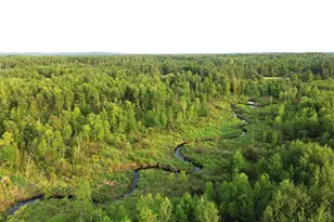 36466 Juniper Rd, Deer River, MN 56636 - Photo 15
