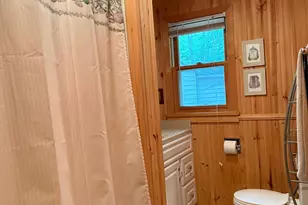 41622 Turtle Lake View Trail, Bigfork, MN 56628 - Photo 15