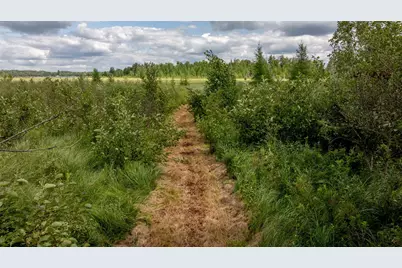 31120 State Highway 200, Laporte, MN 56461 - Photo 25