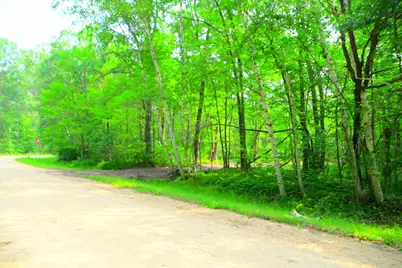 27537 Ode Circle, Browerville, MN 56438 - Photo 3