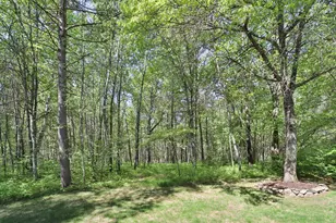 29107 Voyagers Pass, Pequot Lakes, MN 56472 - Photo 51