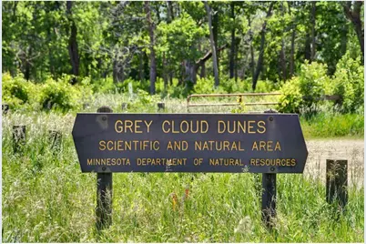 10583 Mississippi Dunes Trail S, Cottage Grove, MN 55016 - Photo 45
