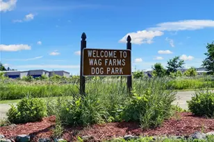 10583 Mississippi Dunes Trail S, Cottage Grove, MN 55016 - Photo 55