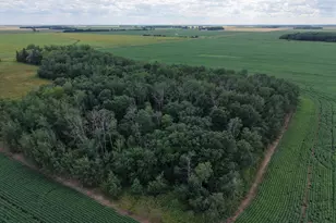 21888 190th St NE, Goodridge, MN 56725 - Photo 9