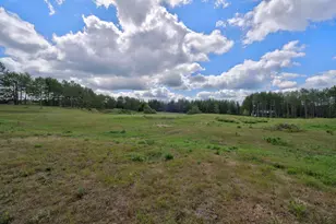 50738 Vinewood Trail, Bemidji, MN 56601 - Photo 37