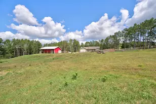 50738 Vinewood Trail, Bemidji, MN 56601 - Photo 31