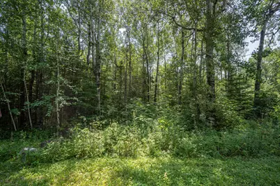 Tbd S Cant Road, Duluth, MN 55804 - Photo 11