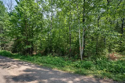 Tbd S Cant Road, Duluth, MN 55804 - Photo 13