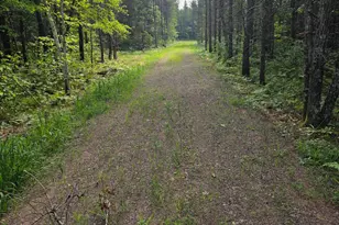 25942 Clark Rd, Webster, WI 54893 - Photo 1