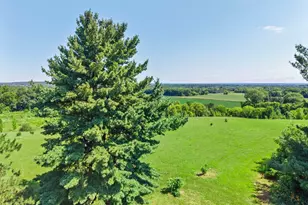1745 Manning Ave S, Afton, MN 55001 - Photo 99