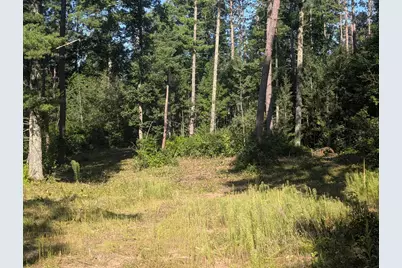 3380 W Highway 63, Springbrook, WI 54875 - Photo 9