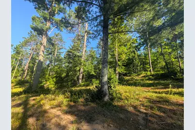 3380 W Highway 63, Springbrook, WI 54875 - Photo 3