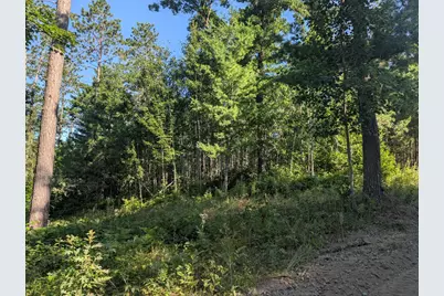 3380 W Highway 63, Springbrook, WI 54875 - Photo 7