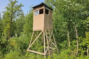 16713 340th Street, Bagley, MN 56621 - Photo 11