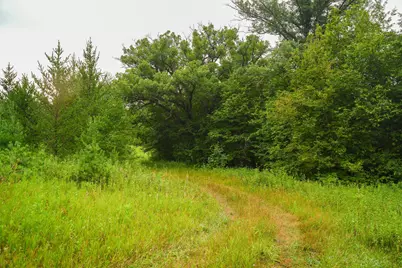 Tbd Wilderness Drive, Frazee, MN 56544 - Photo 59