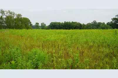 Tbd Wilderness Drive, Frazee, MN 56544 - Photo 77