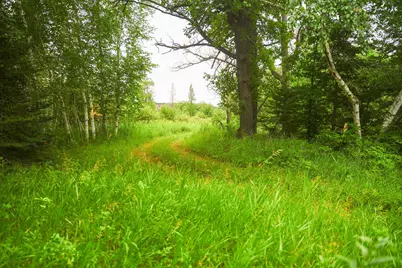 Tbd Wilderness Drive, Frazee, MN 56544 - Photo 61