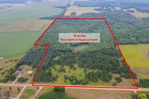 Tbd County Road 125, Park Rapids, MN 56470 - Photo 1