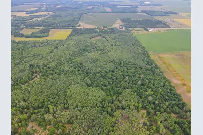Tbd County Road 125, Park Rapids, MN 56470 - Photo 3