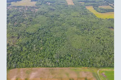 Tbd County Road 125, Park Rapids, MN 56470 - Photo 5