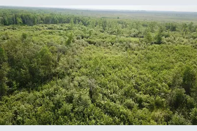 3274 County Road 1 SW, Baudette, MN 56623 - Photo 25