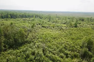 3274 County Road 1 SW, Baudette, MN 56623 - Photo 25