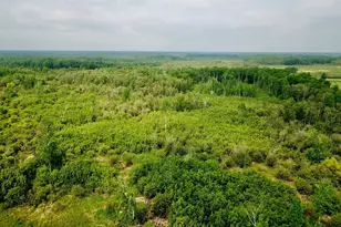 3274 County Road 1 SW, Baudette, MN 56623 - Photo 23