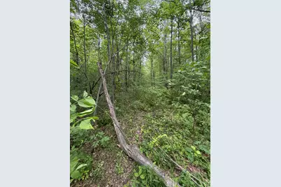 2607 Quail Street, Brook Park, MN 55007 - Photo 15