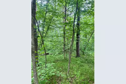 Tbdx Flintstone Road, Cushing, MN 56443 - Photo 1