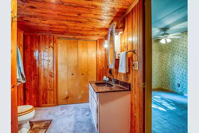 49494 Dixon Lake Resort Road, Squaw Lake, MN 56681 - Photo 27