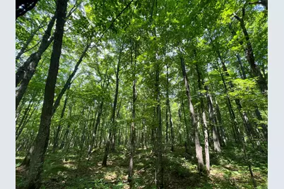 Lot 4 Smith Road, Couderay, WI 54828 - Photo 23