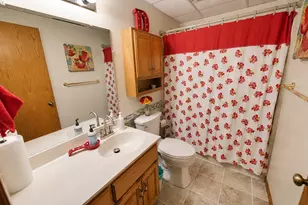 940 Douglas Ct, Anoka, MN 55303 - Photo 29