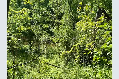 9774 Wien Road, Cook, MN 55723 - Photo 111