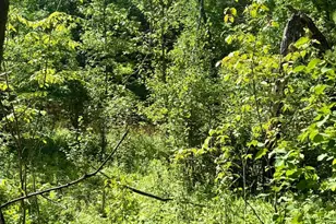 9774 Wien Rd, Cook, MN 55723 - Photo 111